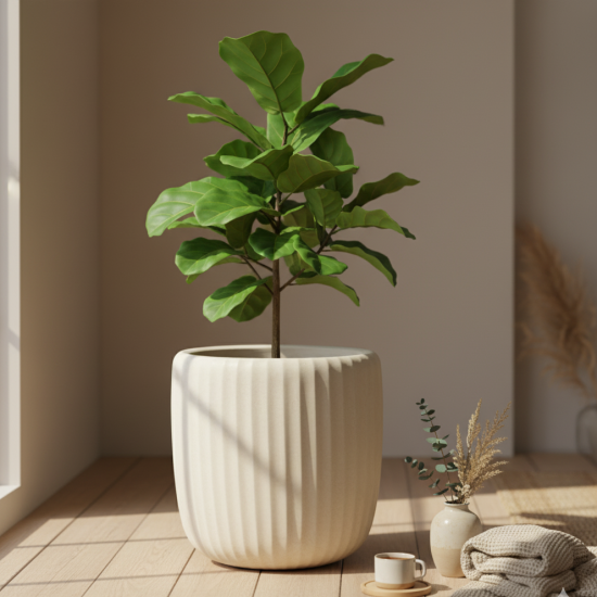 Porcelain Plant Pot Small